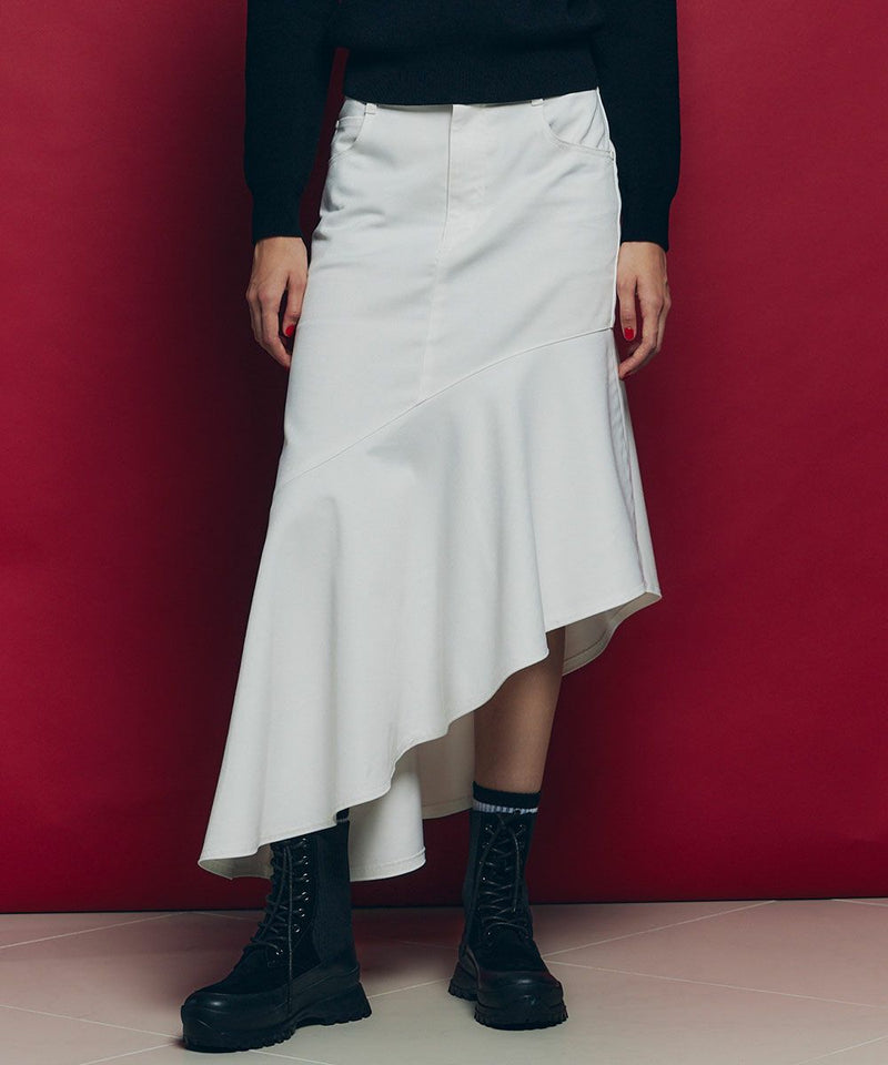 DSC / 아신메트리 플레어스커트(OUTLET)