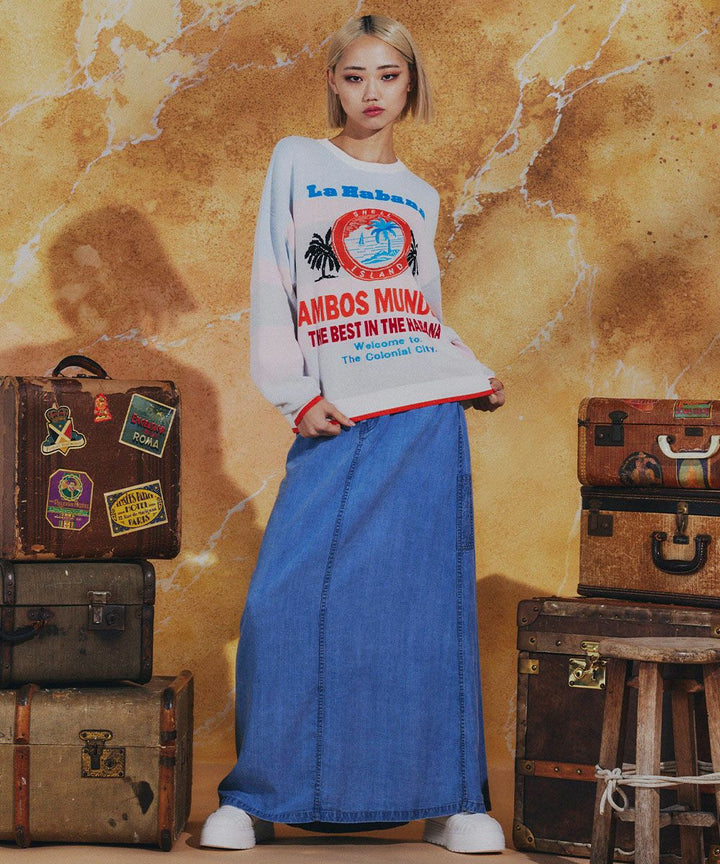 DSC / 텐셀 데님 롱 스커트