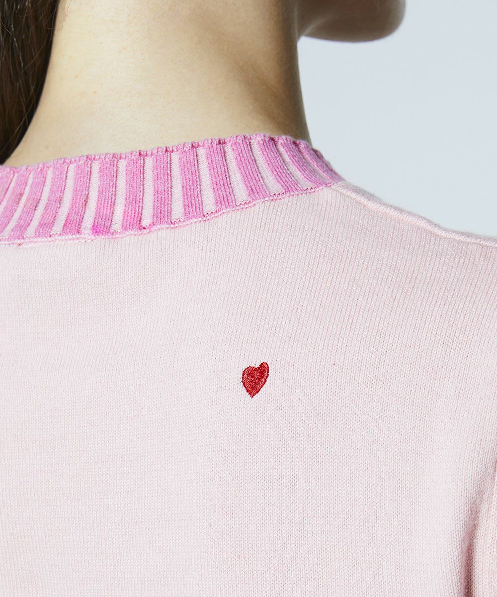 DSC / 소프트터치 베어니트