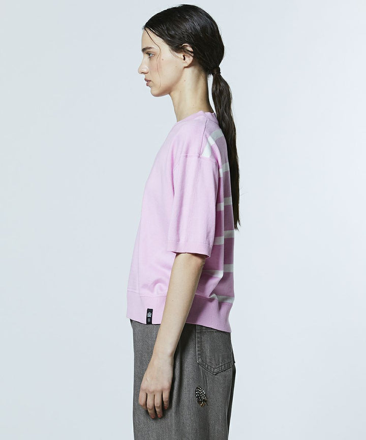 DSC / 도킹 보더니트