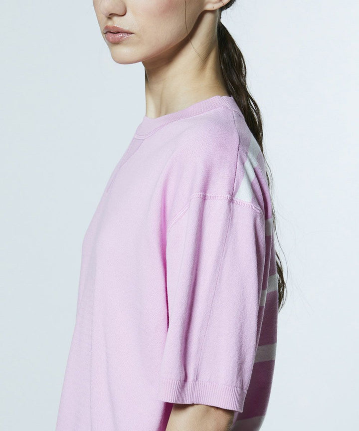 DSC / 도킹 보더니트