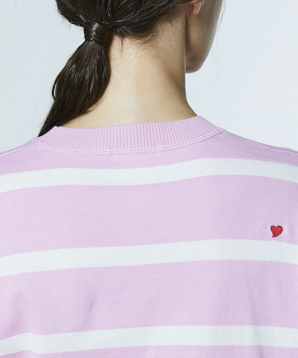 DSC / 도킹 보더니트