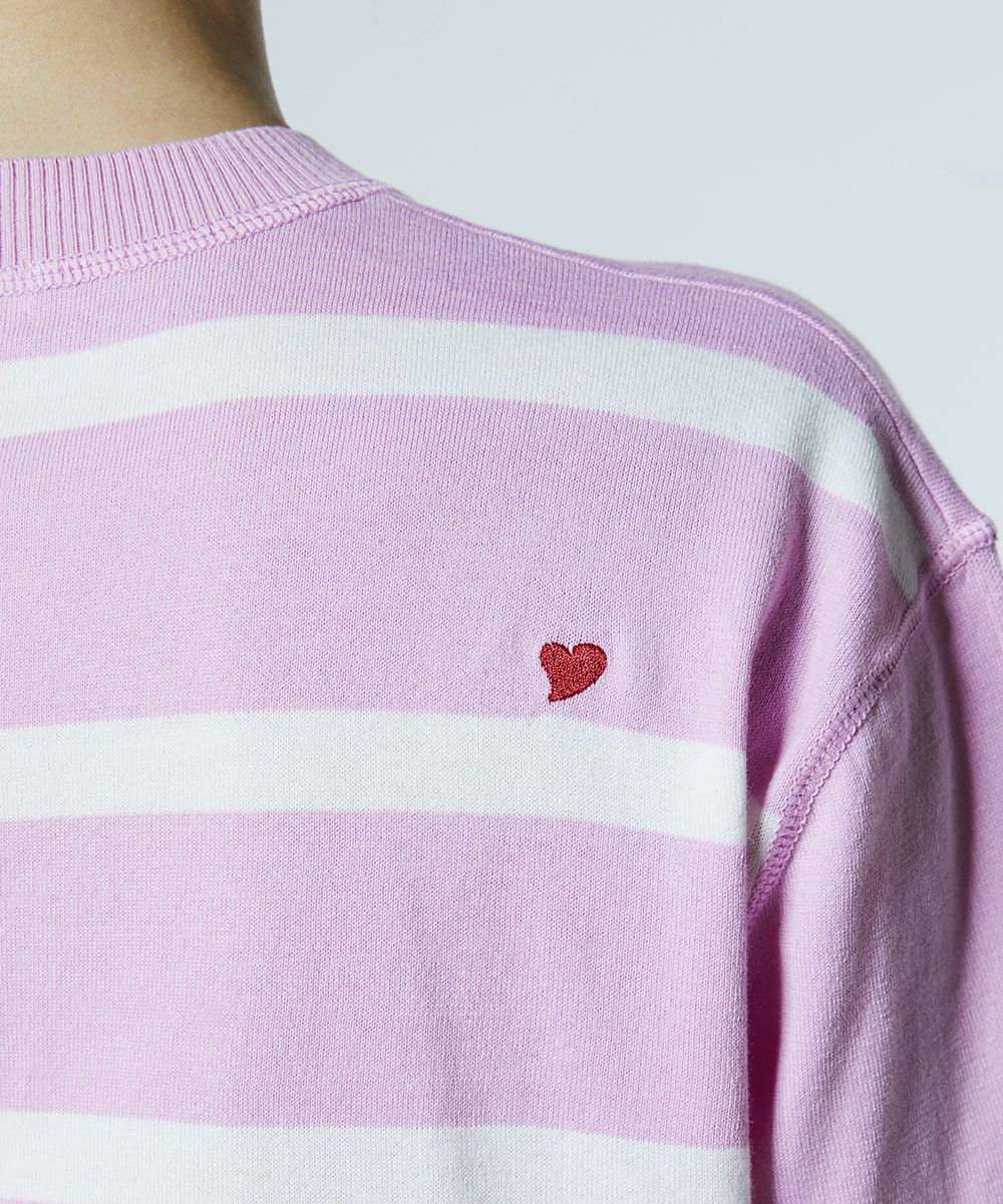 DSC / 도킹 보더니트