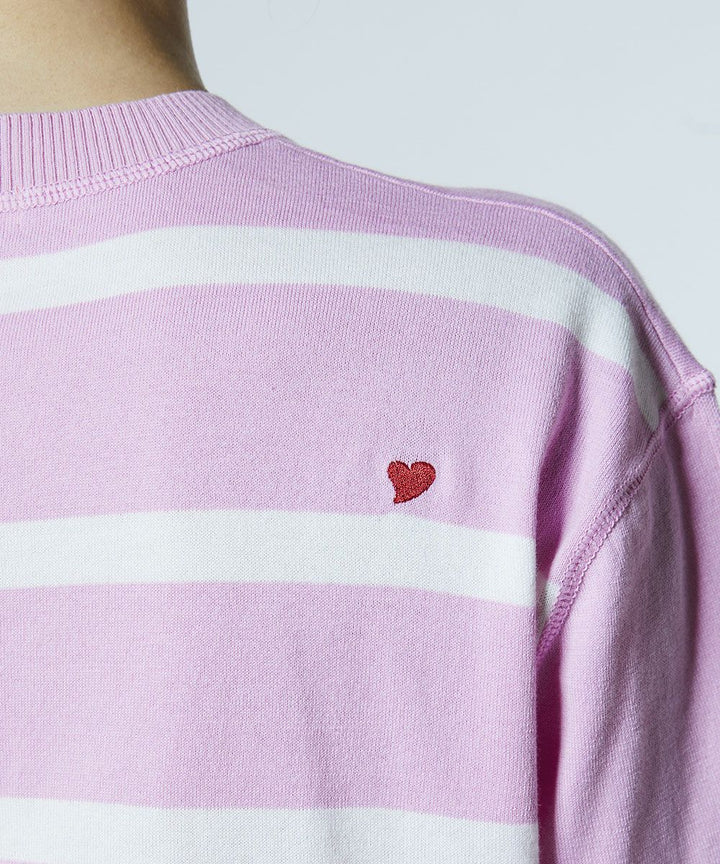 DSC / 도킹 보더니트