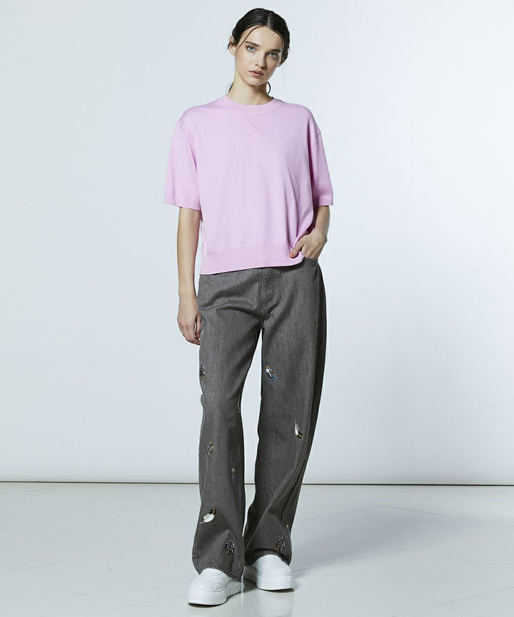 DSC / 도킹 보더니트