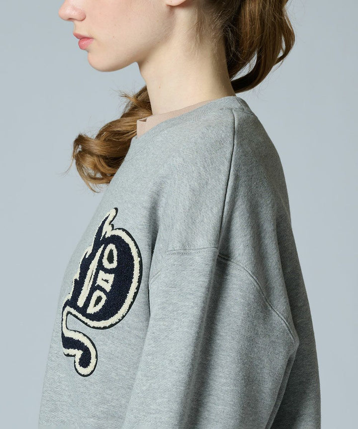 DSC / D와펜 우라기모 풀오버(WEB한정)